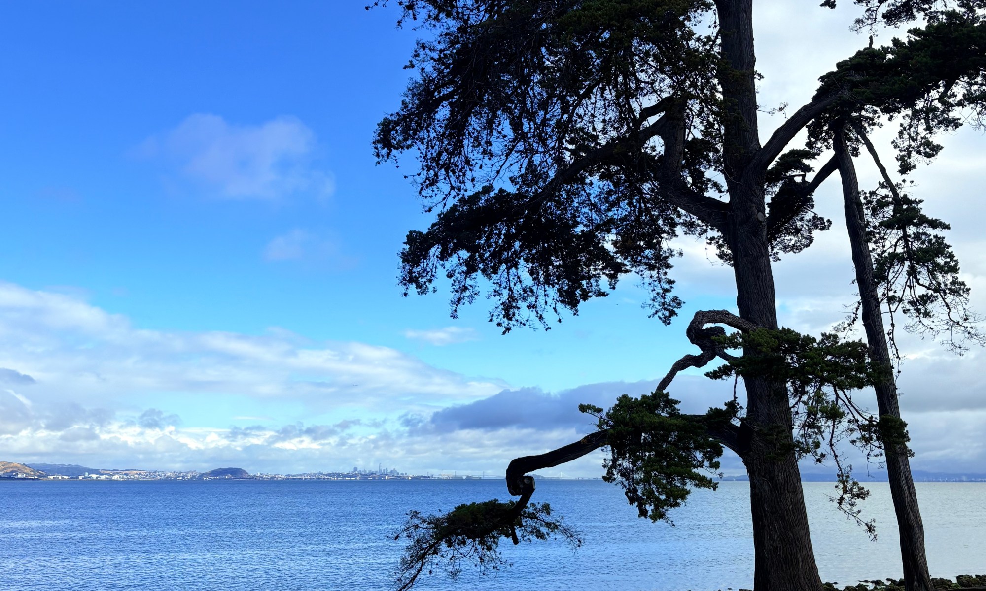Coyote Point a nearby park with great trails and a beach. Also houses Curiodyssey